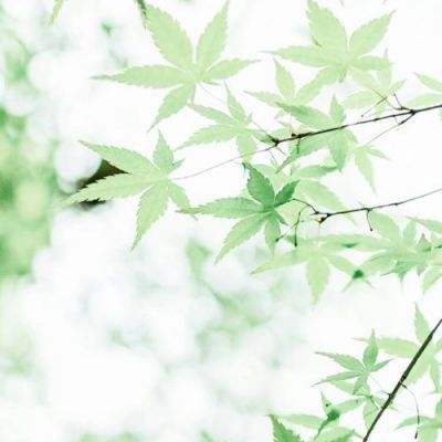 上古降魔小米版下载