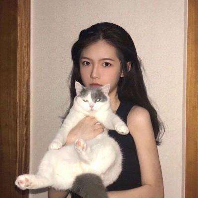 射击大逃杀孤岛求生手机版下载
